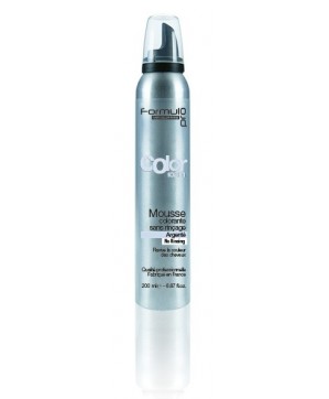 Mousse Colorante Argent (200ml)