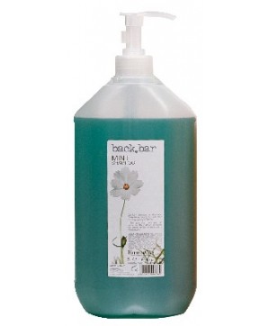 Shampoing Backbar Menthe (5L) - Farmavita