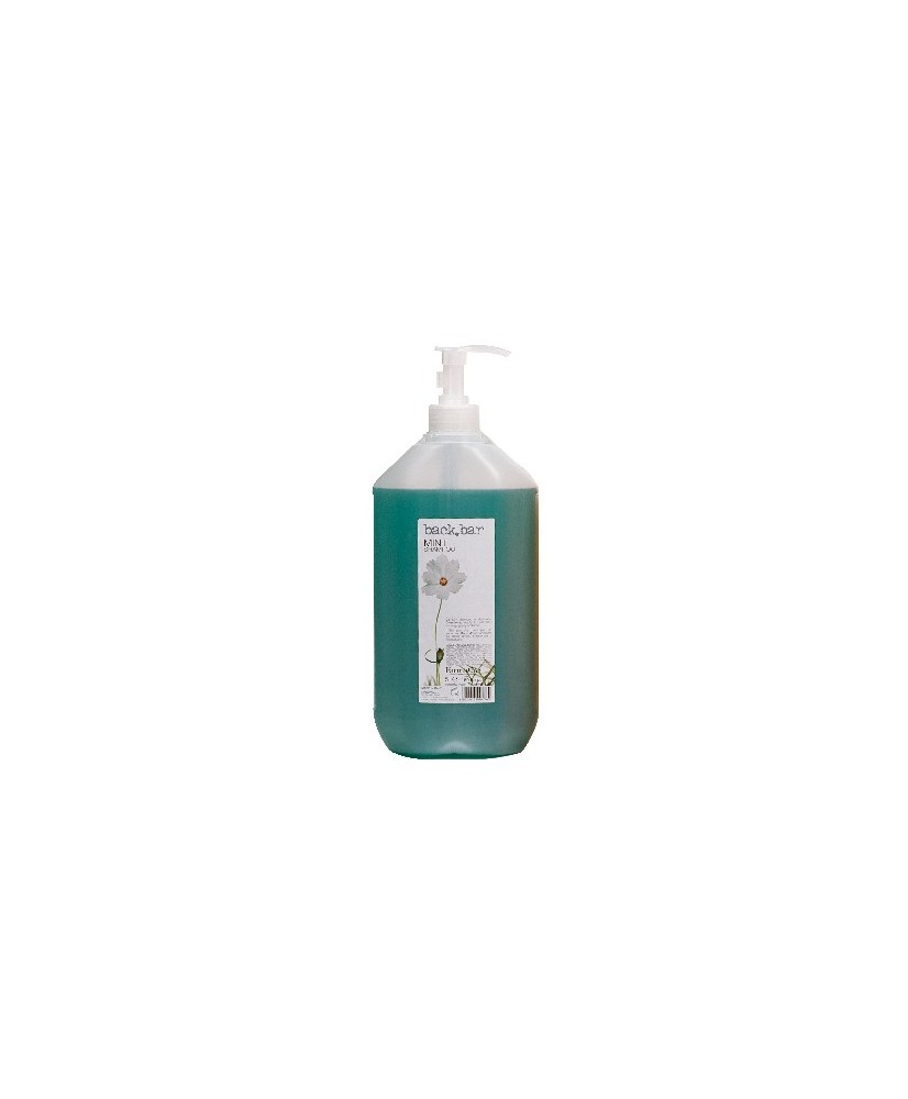 Shampoing Backbar Menthe (5L) - Farmavita