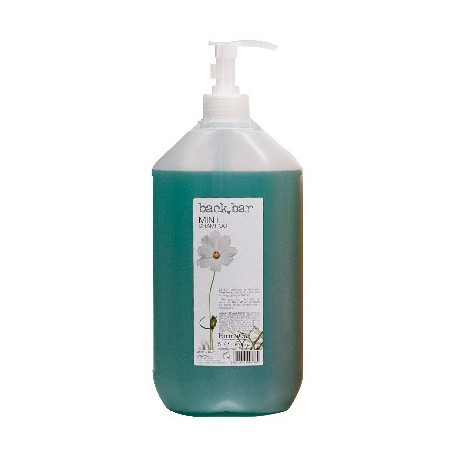 Shampoing Backbar Menthe (5L) - Farmavita