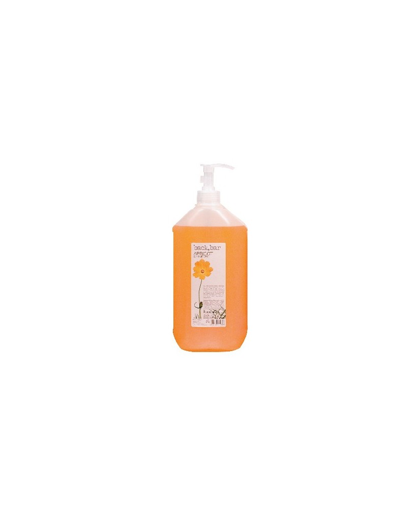 Shampoing Backbar Abricot Cheveux Secs/Abimés (5L)