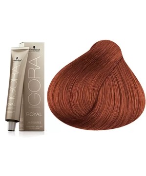 6.70 -  - COLORATION IGORA - (60ml)