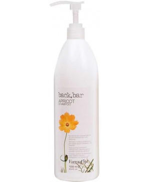 Shampoing Backbar Abricot Cheveux Secs/Abimés (1L)