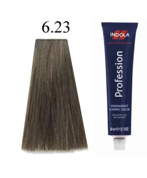 6.23 - COLORATION INDOLA - (60ml)