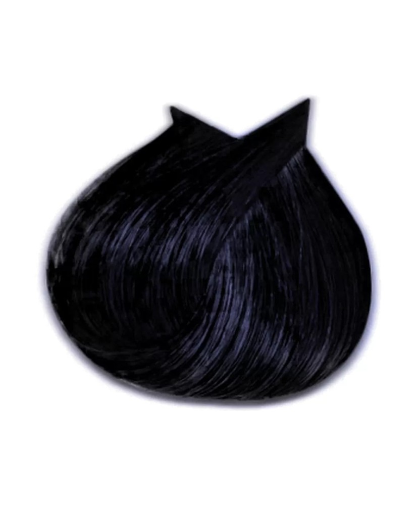 1.10 - NOIR BLEU - COLORATION LIFE COLOR - (100ml)