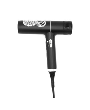 Sèche-cheveux Falcon 1700 Victorius Í 1800 W