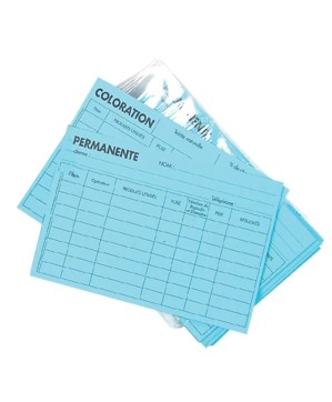 Fiche Color/Perm X100 150X105Mm Bleu