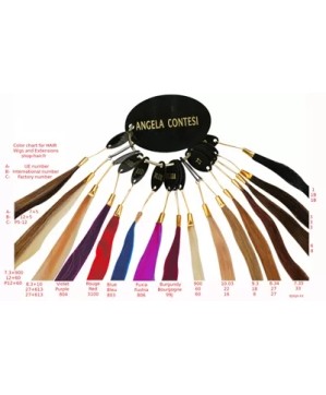 Mèche Ag-Ct Nuancier Remyhair 16 Colors