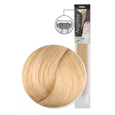 Mèche Ag-Ct Remyhair 2 Clips 22 10.03  7X45Cm X1