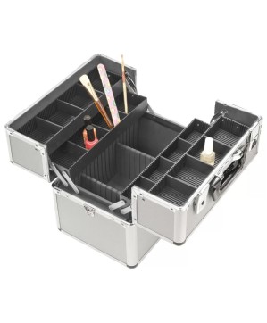 Valise Vanitex-5 Silver 37x23x28 CM