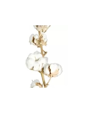 Peignoir Lydie Blanc Magitex-Microfibre