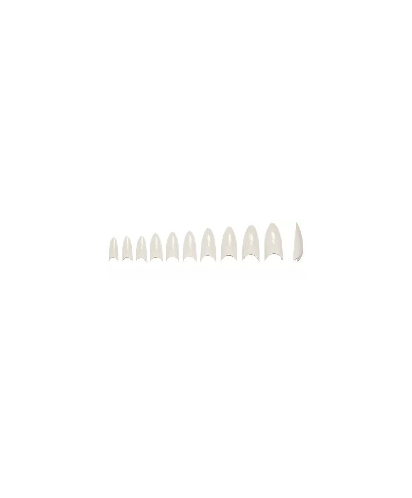 Faux Ongles Stiletto Boitex100 Assortis Naturel