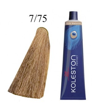 Coloration Koleston 7.75 - Wella (60ml)