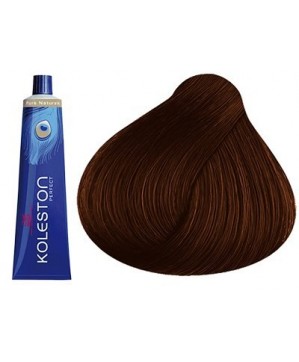 Coloration Koleston 5.3 - Wella (60ml)