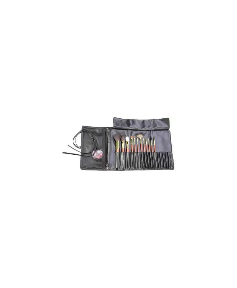 Trousse Esthetiq Integral Pro-2 Avec 12 Pinceaux