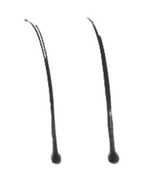 Faux Extra Cils 90 Unibrins (14mm)