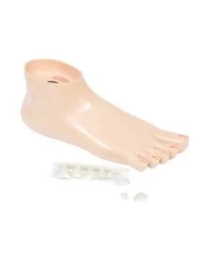 Pied Training Pedicurie Avec Faux Ongles