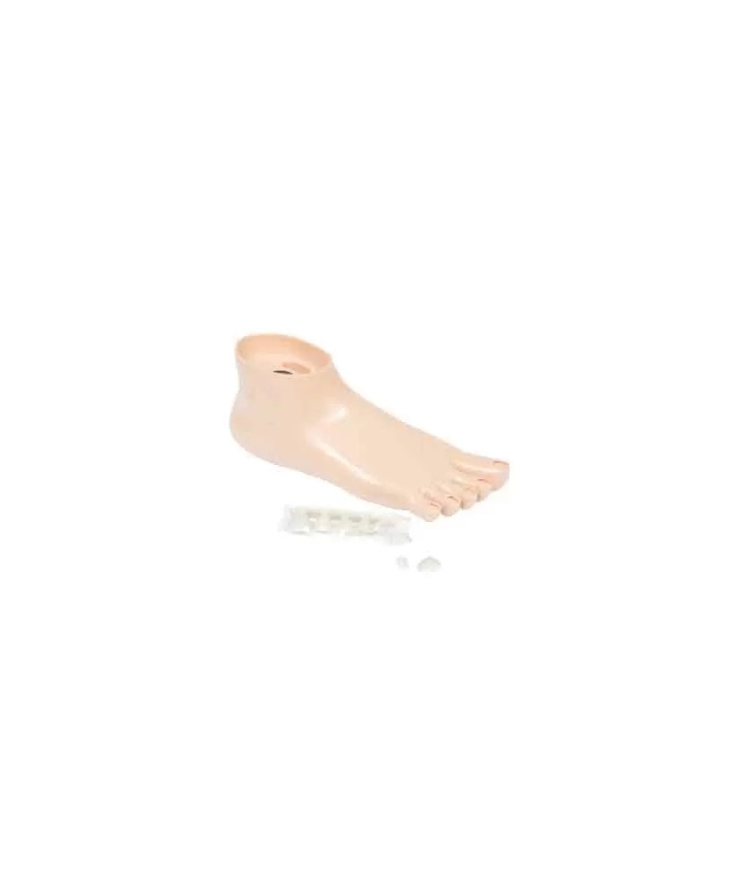 Pied Training Pedicurie Avec Faux Ongles
