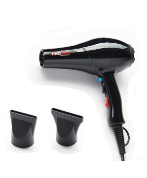 Sechoir FORZA-PRO Noir 2000W avec 2 becs - PROMEX