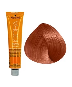 L-77 - CUIVRÉ - COLORATION IGORA - (60ml)