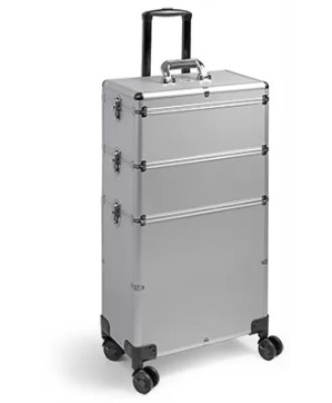 Valise GM ALISHYP-4  SILVER  43 25 83 CM