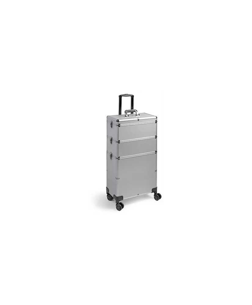 Valise GM ALISHYP-4  SILVER  43 25 83 CM