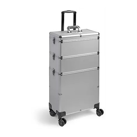 Valise GM ALISHYP-4  SILVER  43 25 83 CM