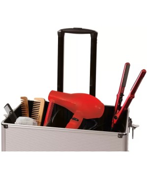 Valise GM ALISHYP-4  SILVER  43 25 83 CM