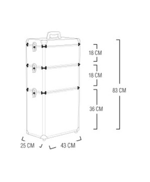 Valise GM ALISHYP-4  SILVER  43 25 83 CM