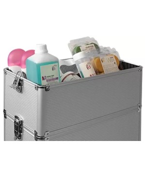 Valise GM ALISHYP-4  SILVER  43 25 83 CM