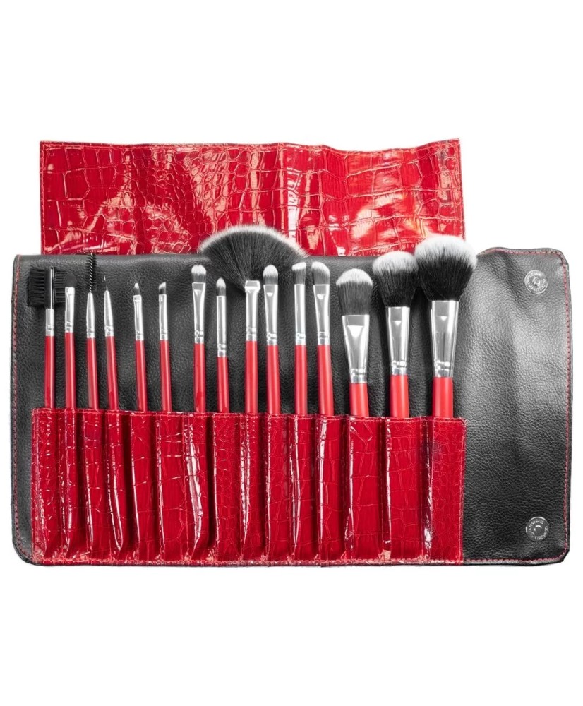 Pinceaux maquil DOUCYNYL trousse de 15 assortis