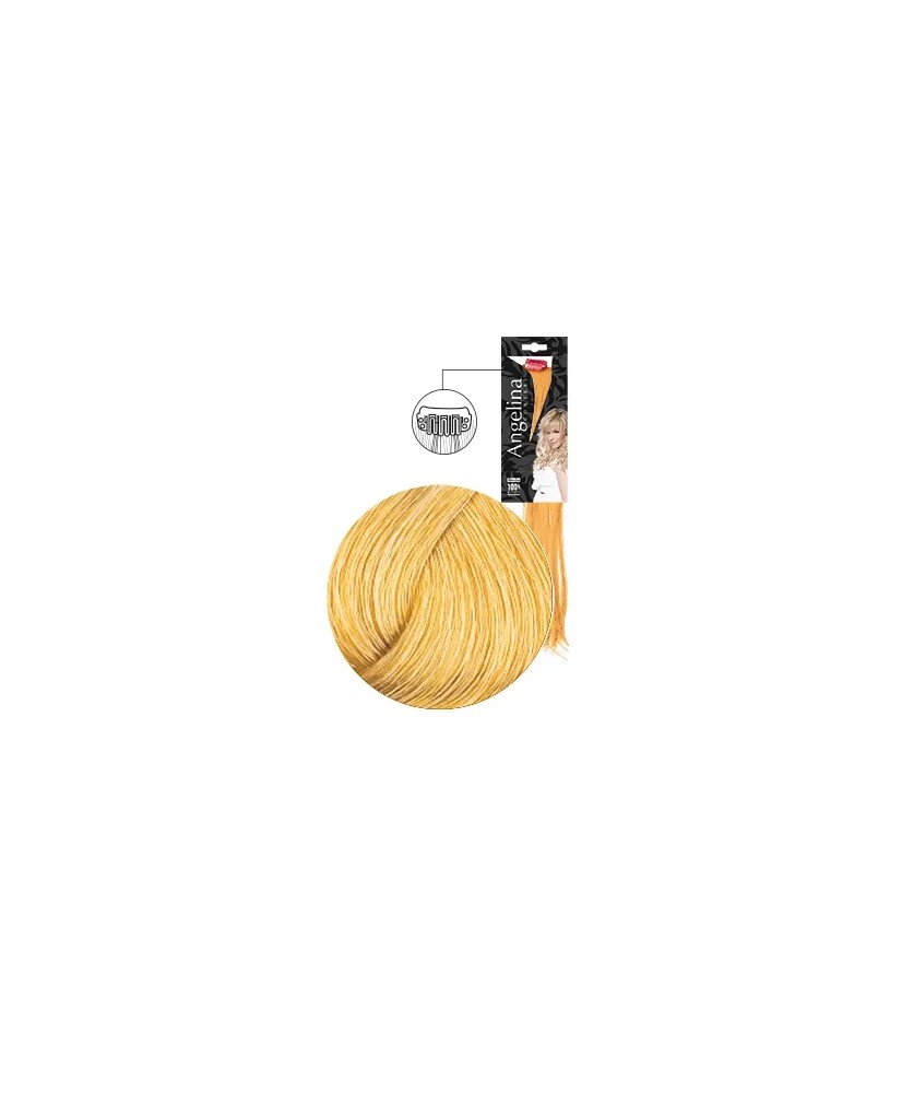 Mèche Ag-Ct Remyhair 3 Clip 8.30-808 15X45Cmx1