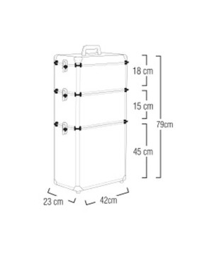 Valise ALU 2-CAZ Silver 4-ROLLY  42x23x79 cms