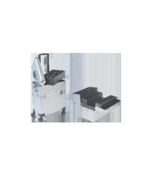 Valise ALU 2-CAZ Silver 4-ROLLY  42x23x79 cms