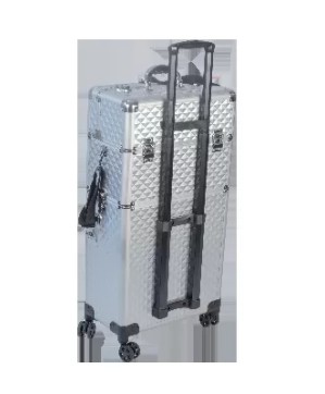 Valise ALU 2-CAZ Silver 4-ROLLY  42x23x79 cms