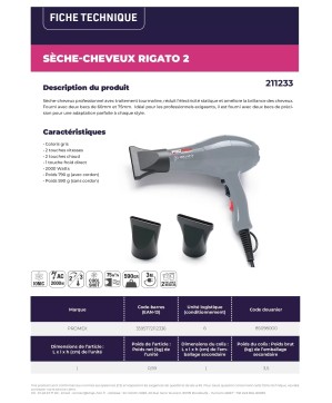 Sechoir RIGATO-2 Ionic Argent (2000 Watt) - PROMEX