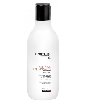 Shampoing à l'Huile d'Argan Cheveux Fragiles 250ml