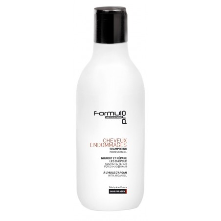 Shampoing à l'Huile d'Argan Cheveux Fragiles 250ml