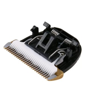 PD Kuster tete de coupe pour TARGET-2