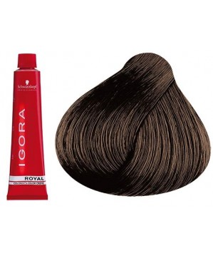 Coloration Igora Royal 6.0 - Schwarzkopf (60ml)