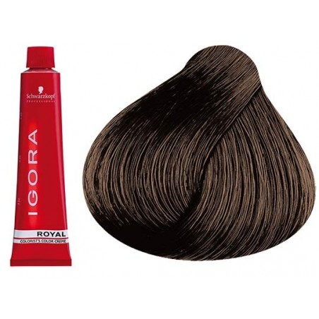 Coloration Igora Royal 6.0 - Schwarzkopf (60ml)