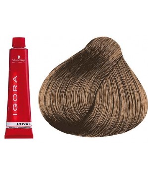 Coloration Igora Royal 8.0 - Schwarzkopf (60ml)