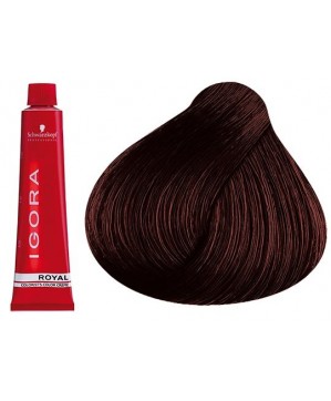 Coloration Igora Royal 3.68 - Schwarzkopf (60ml)