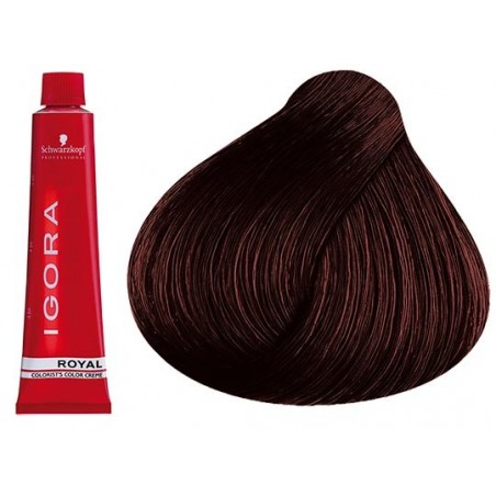 Coloration Igora Royal 3.68 - Schwarzkopf (60ml)