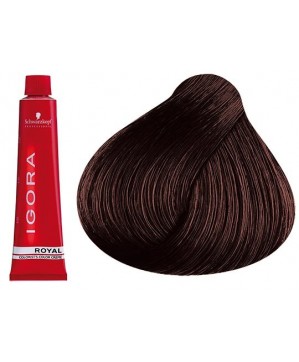 Coloration Igora Royal 4.68 - Schwarzkopf (60ml)