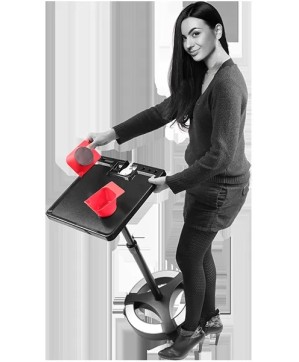 able MAGNETO - 1 Plateau, Réglable, avec 2 Bols Magnétiques