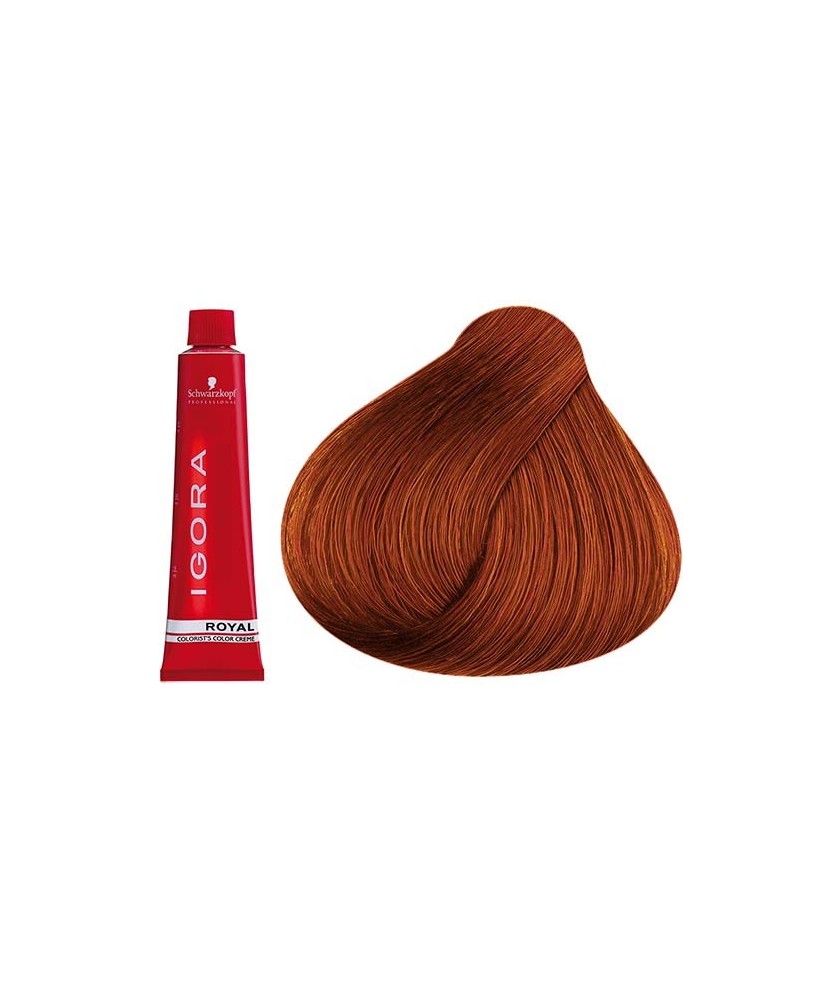 Coloration Igora Royal 6.77 - Schwarzkopf (60ml)