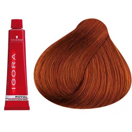 Coloration Igora Royal 6.77 - Schwarzkopf (60ml)