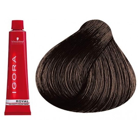 Coloration Igora Royal 6.1 - Schwarzkopf (60ml)