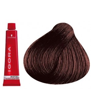 Coloration Igora Royal 6.6 - Schwarzkopf (60ml)